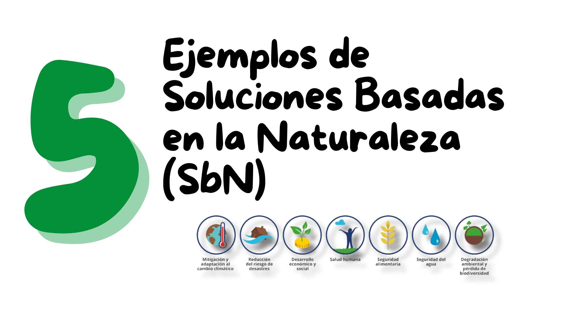 5 Ejemplos De Soluciones Basadas En La Naturaleza Sbn 0746