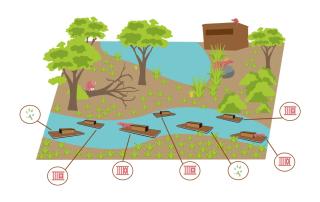 Curso Online Técnico Rastreo de Fauna