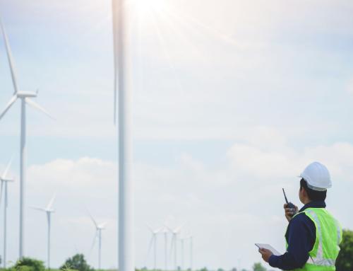 ¿Qué curso elijo?¿ ¿Seguimiento y Vigilancia Ambiental en la EIA o Dirección Ambiental de Obra?